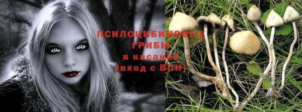 дурь Балабаново