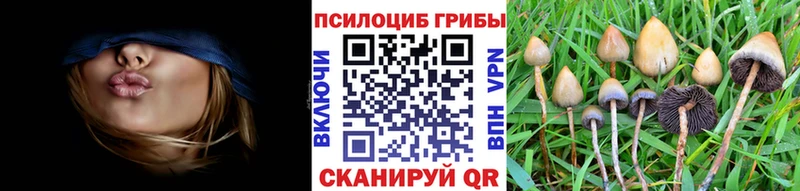 Псилоцибиновые грибы ЛСД Мариинск
